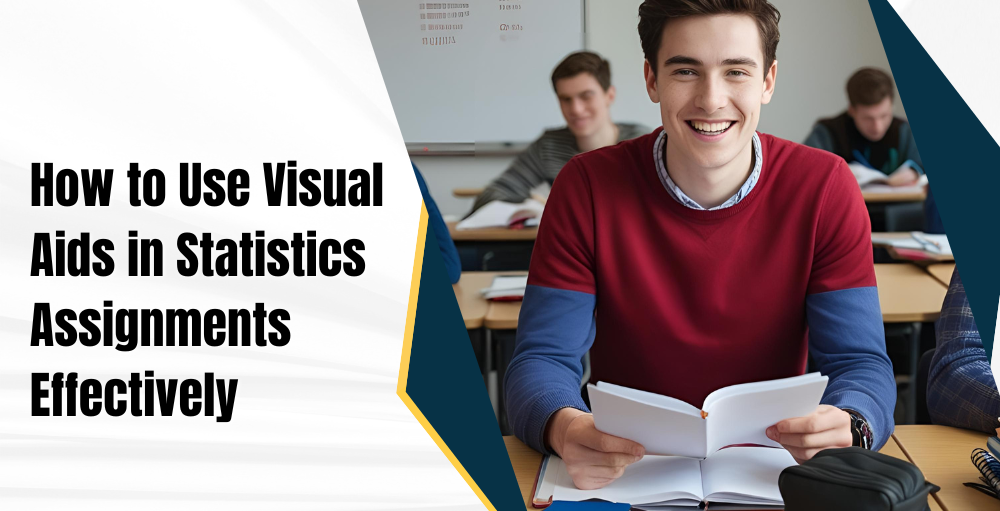 How to Use Visual Aids in Statistics Assignments Effectively