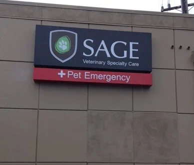 Exterior Signs & Outdoor Signs in San Jose: The Complete Guide to Custom Outdoor Business Signage