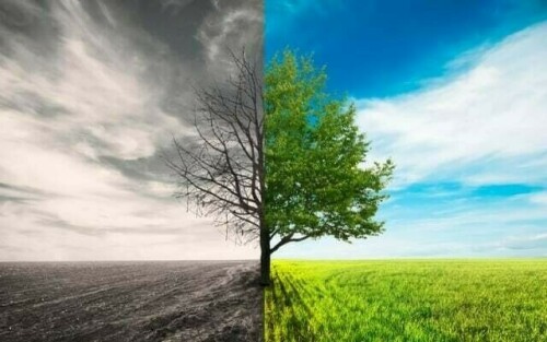 Environmental Health Guide: Protect Yourself and Nature