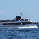 Gloucester Whale Watch