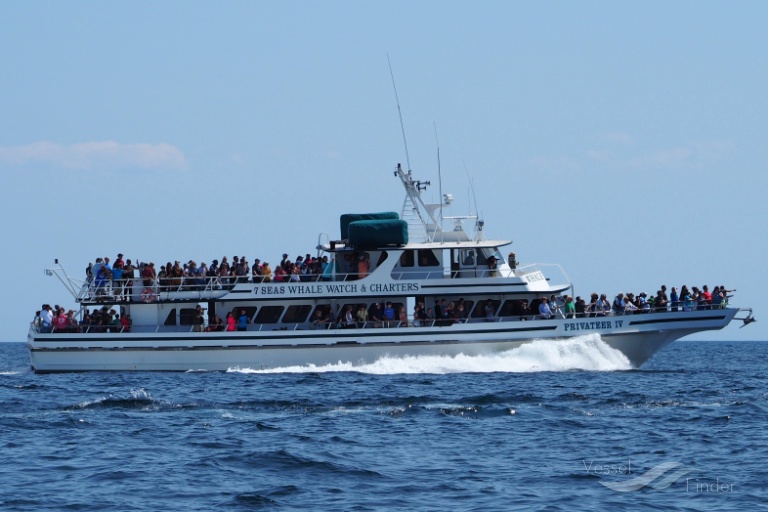 Gloucester Whale Watch