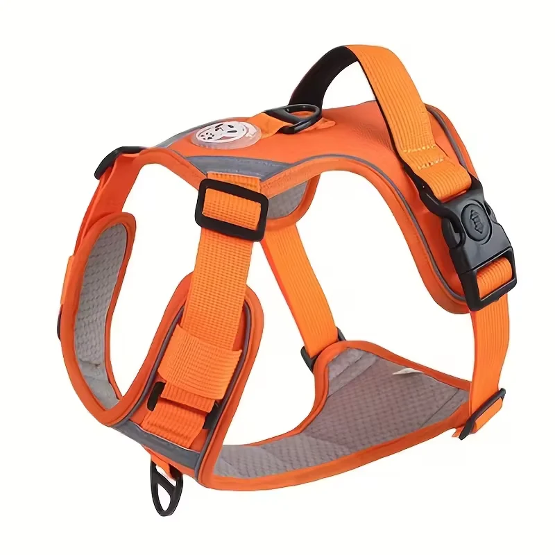 Best Dog Harness Australia: Top Comfort Picks
