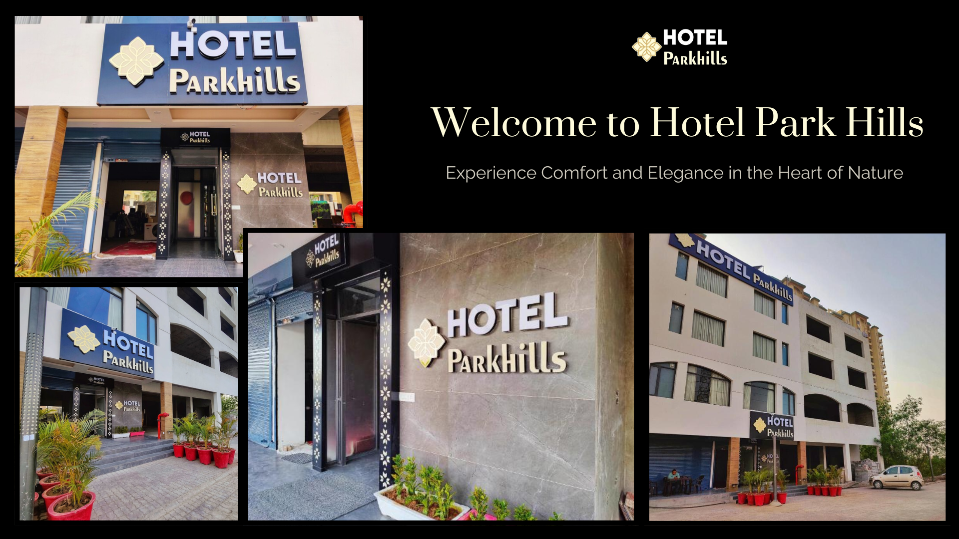 How to Find the Perfect Kitty Party Places Near Me (And What to Look For)