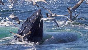 Why Updating Content Helps Google Search Ranking