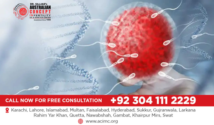 How Is Embryo Quality Monitored After the ICSI Procedure