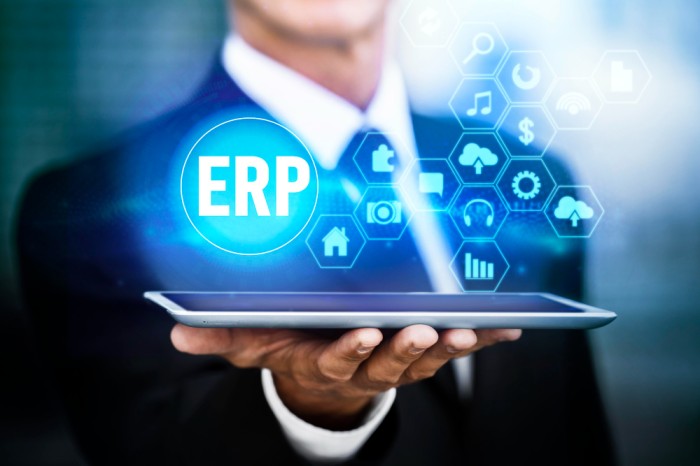 custom erp software