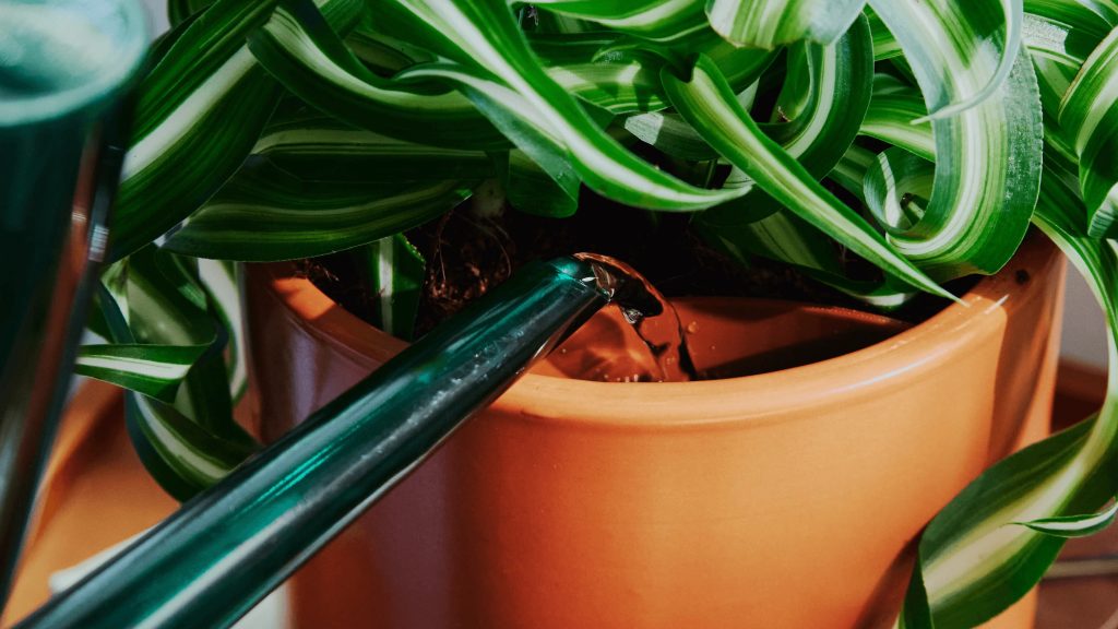 Garden Watering/Self Watering Planter