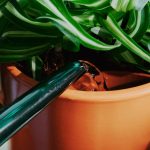 Garden Watering/Self Watering Planter