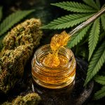 Order Live Resin at The High Bar