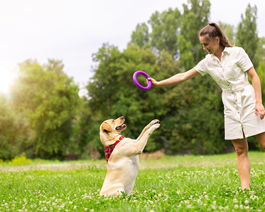 5 Common Dog Grooming Mistakes and How to Avoid Them