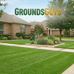 Transforming Your Texas Turf: A Guide to Dallas Lawn Care Companies