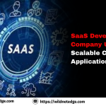SaaS Development Company USA Build Scalable Cloud Applications