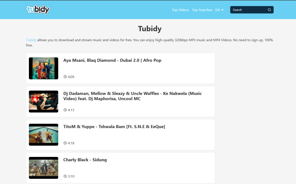 Why Tubidy Is Popular for Music Lovers