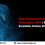 Top eCommerce Development Companies USA Build Scalable Online Stores