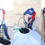 Which Termite Control in Lahore Is Reliable?