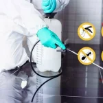 Which Termite Control Services in Lahore Provide the Most Effective and Long-Lasting Protection?