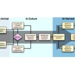 buffered hypotonic solutions