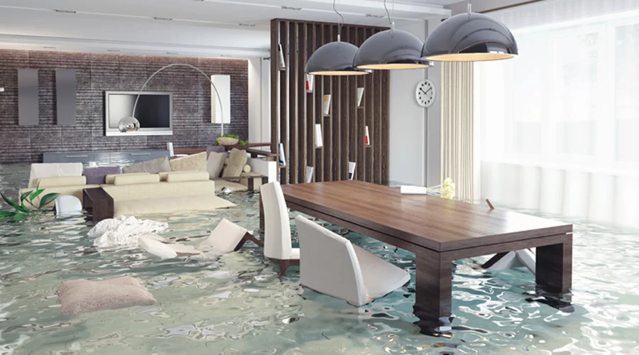 From Pipes to Perfection: Complete Water Damage Restoration Near Me Explained