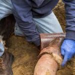 Sewer & Plumbing Solutions Edmonton