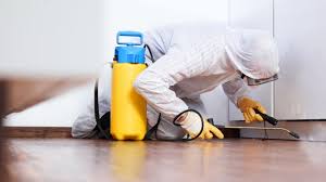 Good Pest Control Welland Tips for Pest Free Homes