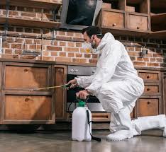 Courtice Pest Control Trusted Safe Home Protection