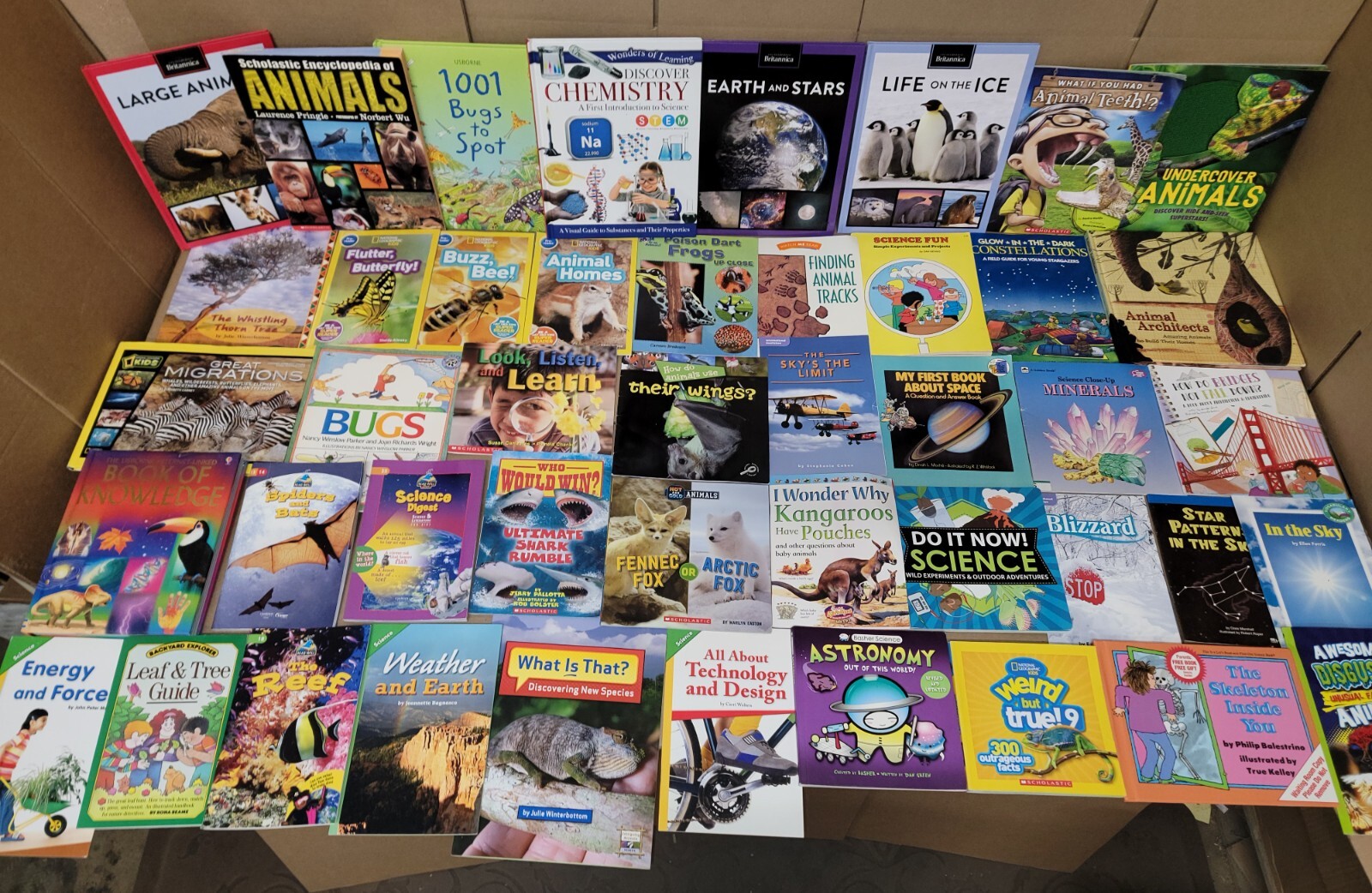 Who Are The Top Children’s Book Publishers For Educational Content