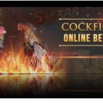 Cockfighting Betting