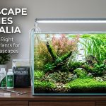 Aquascape Supplies Australia: How to Choose the Right Background Plants for a Stunning Aquascape