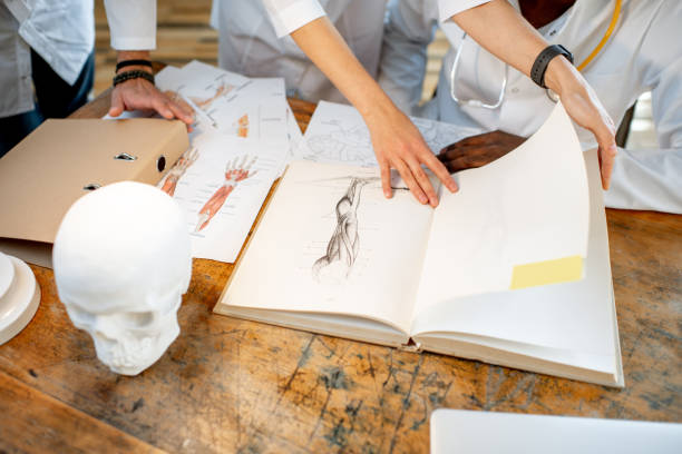 Effective Anatomy Coursework Tips for Students