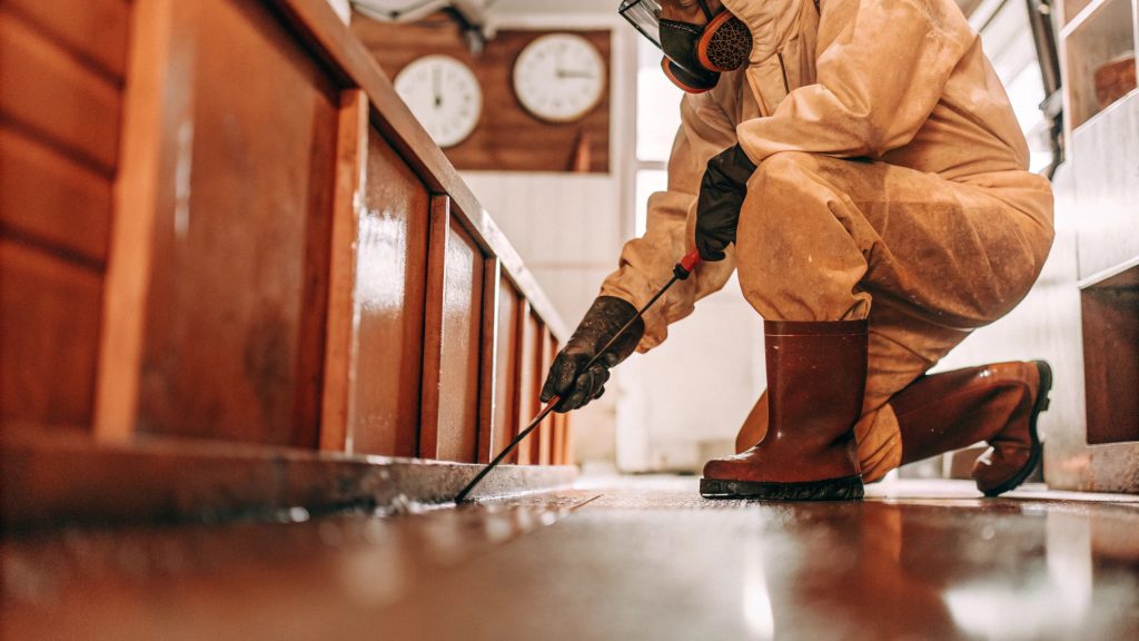 What Steps Are Included In Water Damage Restoration Alexandria Va For Complete Water Damage Alexandria Va Cleanup?