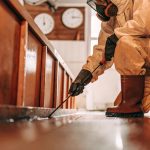 What Steps Are Included In Water Damage Restoration Alexandria Va For Complete Water Damage Alexandria Va Cleanup?
