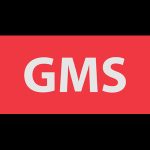 Gulf Marine Services