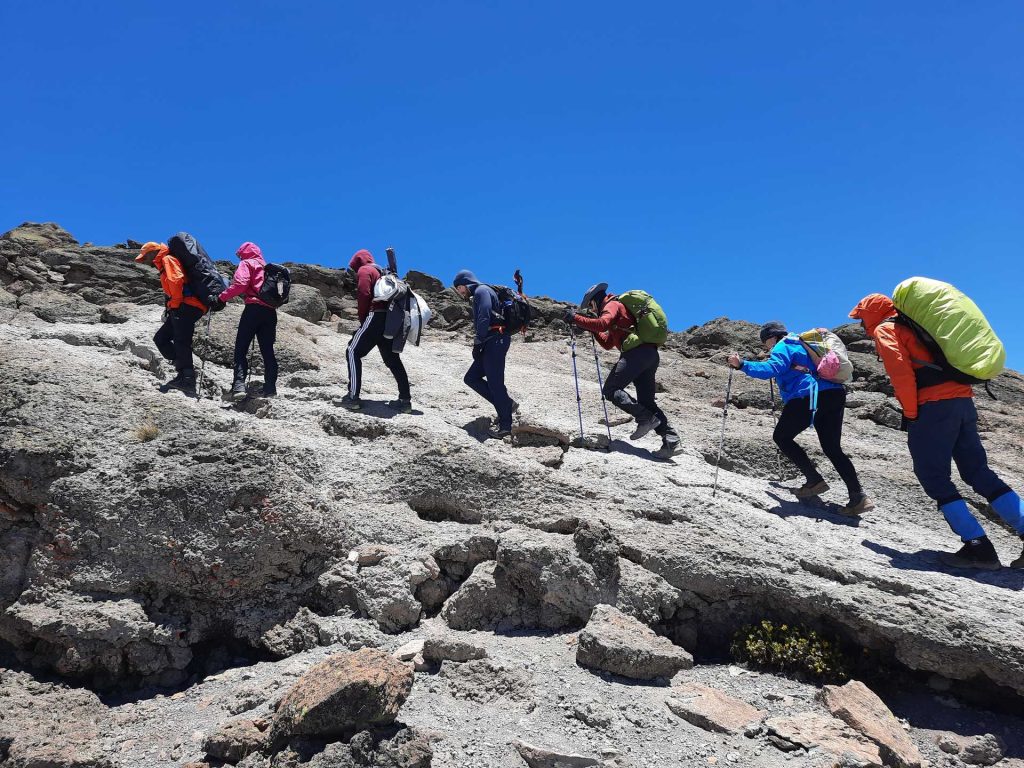 What Happens After You in Kilimanjaro Climb: A Step-by-Step Arrival Guide for Travelers