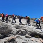 What Happens After You in Kilimanjaro Climb: A Step-by-Step Arrival Guide for Travelers